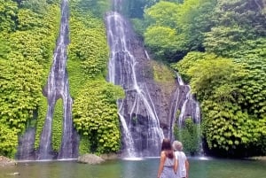 Bali: Jatiluwih-rijstterras, tempel en waterval tour