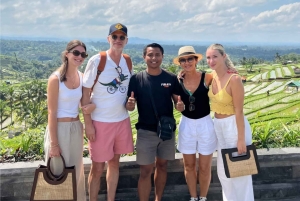 Bali: Jatiluwih-rijstterras, tempel en waterval tour