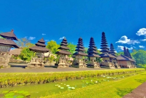 Bali: Jatiluwih-rijstterras, tempel en waterval tour
