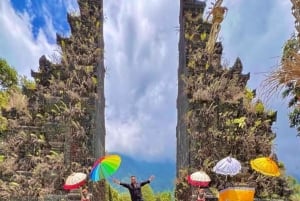 Bali: Jatiluwih-rijstterras, tempel en waterval tour