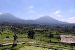 Bali: Jatiluwih-rijstterras, tempel en waterval tour