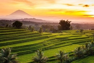 Bali : Visite de la rizière de Jatiluwih et du patrimoine de l'UNESCO