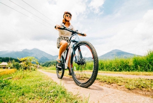 Bali: Jatiluwih Rice Terraces 1-Hour Electric Bike Tour