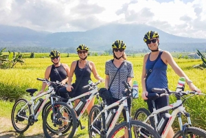 Bali: Jatiluwih Rijstterrassen 1-uur durende elektrische fietstour