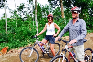 Bali: Jatiluwih risterrasser 1 timmes elektrisk cykeltur