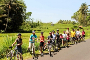 Bali: 1-godzinna wycieczka rowerem elektrycznym po tarasach ryżowych Jatiluwih