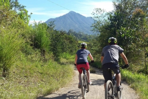 Bali: Tour di un'ora in bicicletta elettrica delle terrazze di riso di Jatiluwih
