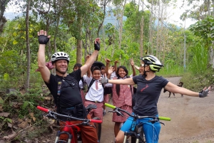 Bali: Tour di un'ora in bicicletta elettrica delle terrazze di riso di Jatiluwih