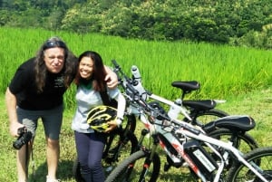 Bali: Jatiluwih Rice Terraces 1-Hour Electric Bike Tour