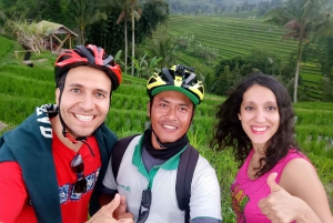 Bali : Randonnée à vélo électrique d'une heure dans les rizières en terrasses de Jatiluwih