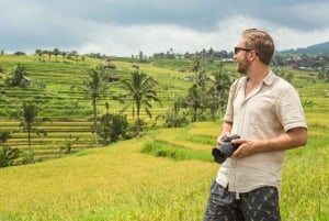 Bali: terrazze di riso di Jatiluwih, foresta di Sangeh e tour del caffè