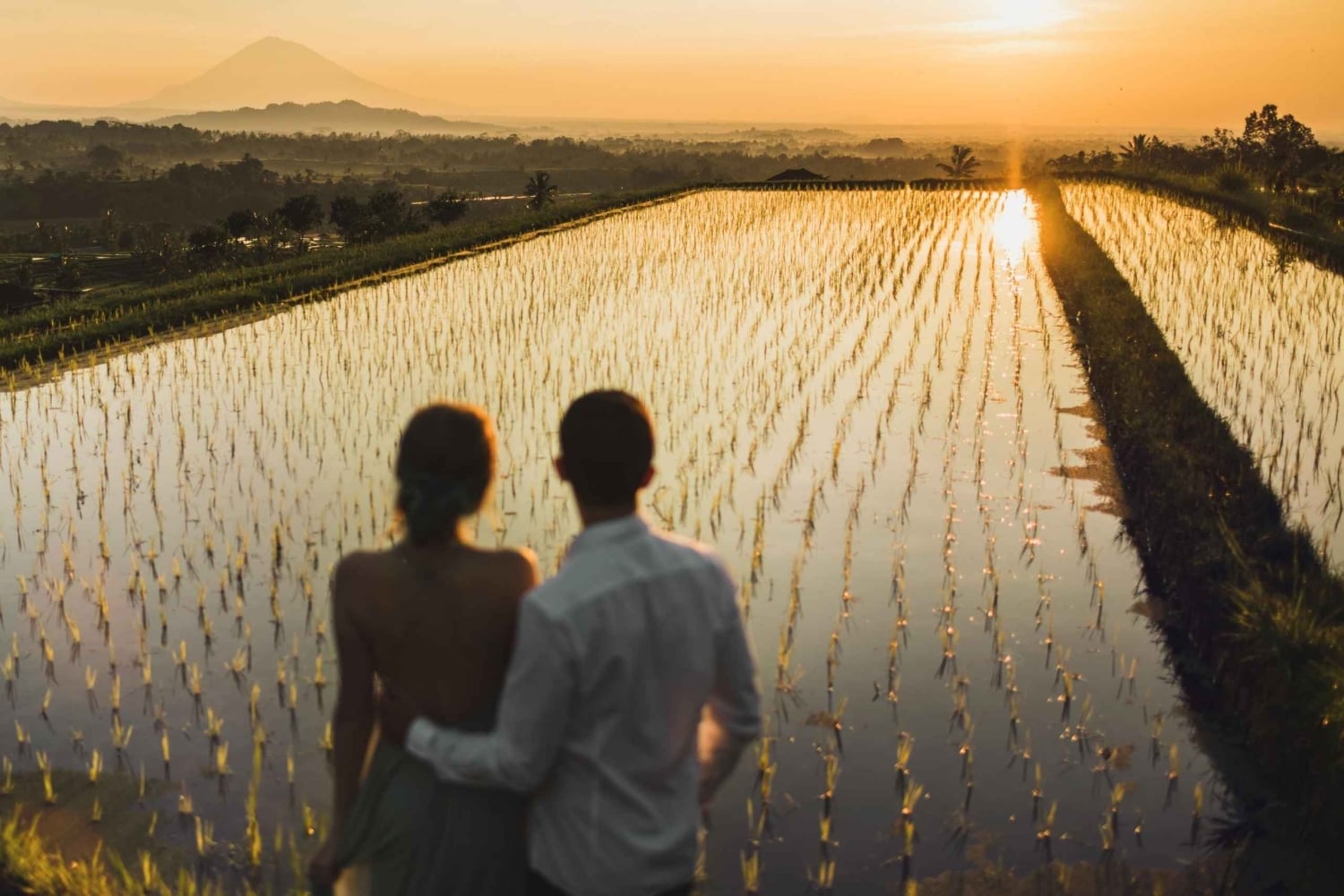 Bali: Jatiluwih Rice Terraces Sunrise guided Walking Tour