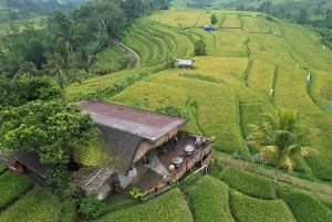 Bali: Jatiluwih Rice Terraces Sunrise guided Walking Tour