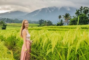 Bali: Jatiluwih Rice Terraces Sunrise guided Walking Tour