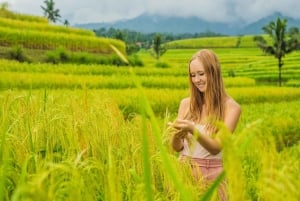Bali: Jatiluwih Rice Terraces Sunrise guided Walking Tour