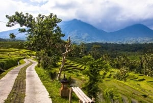 Bali: Jatiluwih Rice Terraces Sunrise guided Walking Tour