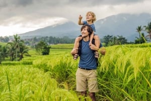 Bali: Jatiluwih Rice Terraces Sunrise guided Walking Tour