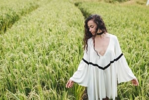 Bali: Jatiluwih Rice Terraces Sunrise guided Walking Tour