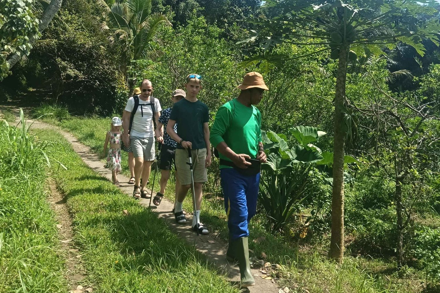 Bali: Jatiluwih Trek via Senganan Village – with local guide