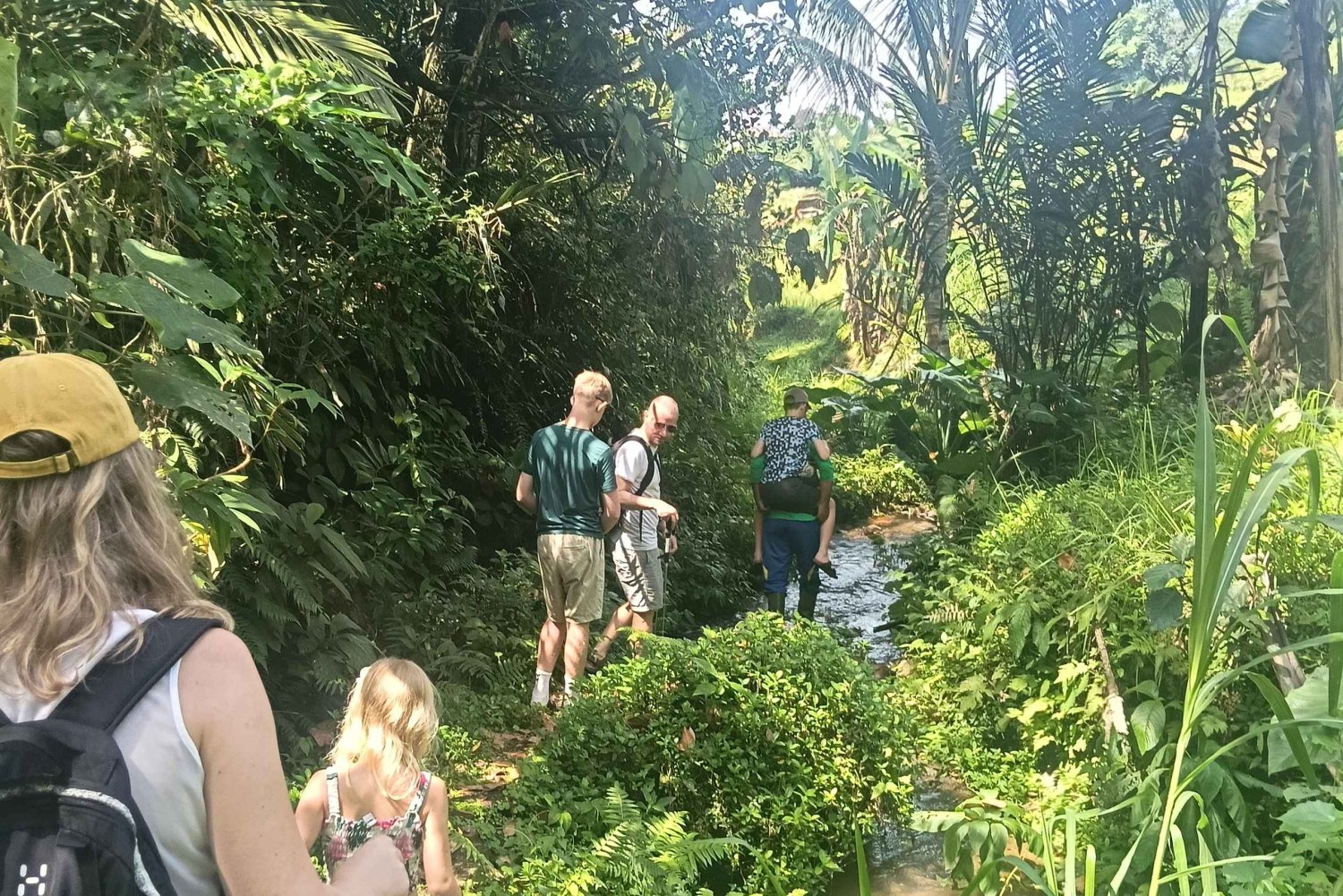 Bali: Jatiluwih Trek via Senganan Village – with local guide