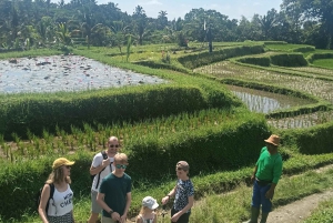 Bali: Jatiluwih Trek via Senganan Village – with local guide