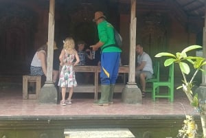 Bali: Jatiluwih Trek via Senganan Village – with local guide