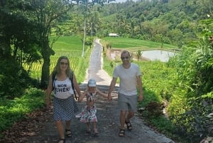 Bali: Jatiluwih Trek via Senganan Village – with local guide