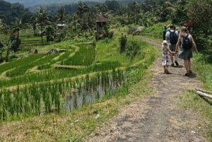 Bali: Jatiluwih Trek via Senganan Village – with local guide