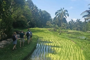 Bali: Jatiluwih Trek via Senganan Village – with local guide