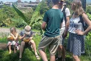 Bali: Jatiluwih Trek via Senganan Village – with local guide