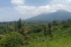 Bali: Jatiluwih Trek via Senganan Village – with local guide