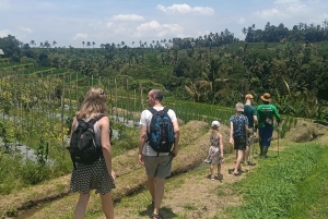 Bali: Jatiluwih Trek via Senganan Village – with local guide