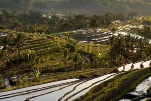 Bali: Jatiluwih UNESCO, Bratan Lake, Iconic Gate & Tanah Lot