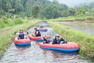 Bali: wildwaterraften met een prachtig uitzicht op de Ayung-rivier