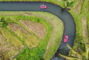 Bali: wildwaterraften met een prachtig uitzicht op de Ayung-rivier