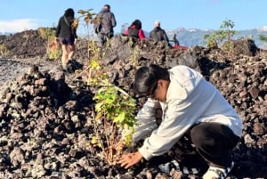 Mount Batur jeep-tur i soluppgången, svart lava, dolt vattenfall i Ubud