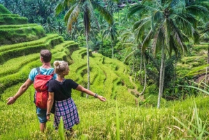Bali: smykkeverksted og vandring på risterrasse