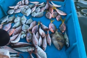 Fiske på Bali med traditionell båt