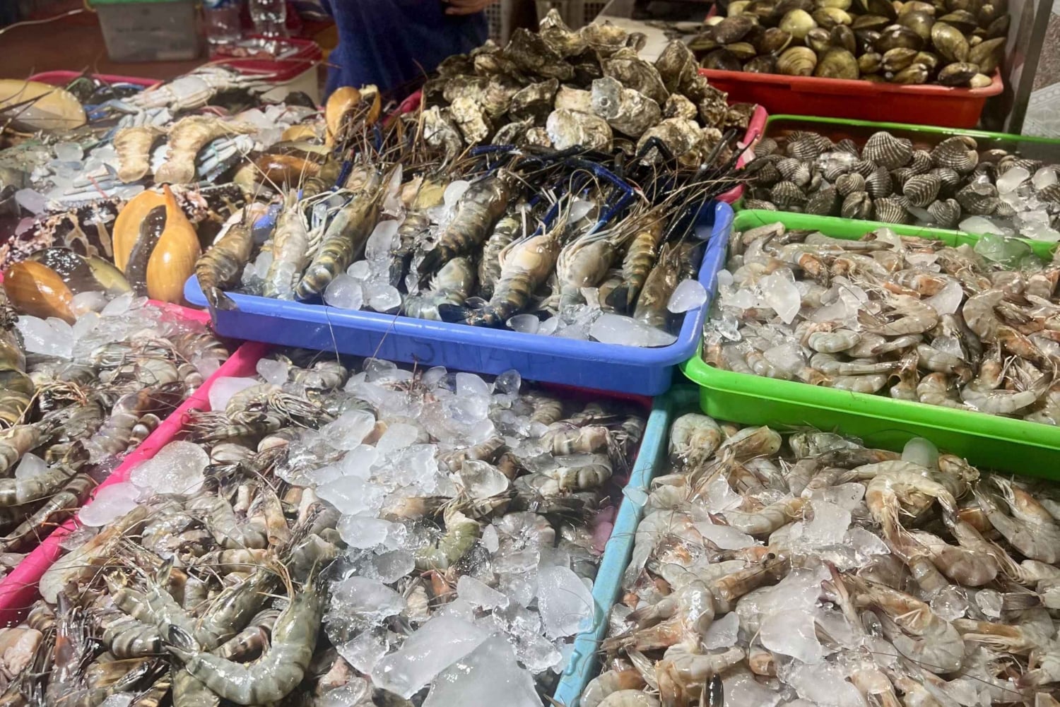 Bali: Jimbaranin kalatorikierros ja mereneläviä