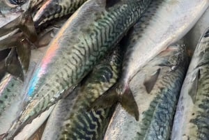 Bali: Jimbaran Fish Market Tour with Seafood Tasting