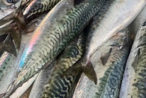 Bali: Jimbaranin kalatorikierros ja mereneläviä