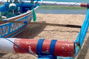 Bali: Jimbaranin kalatorikierros ja mereneläviä