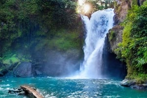 バリ島：ジャングルでの四輪バギー体験、コーヒー農園、滝