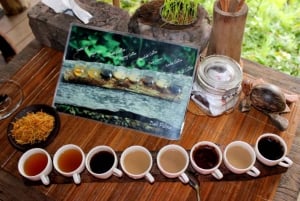 バリ島：ジャングルでの四輪バギー体験、コーヒー農園、滝