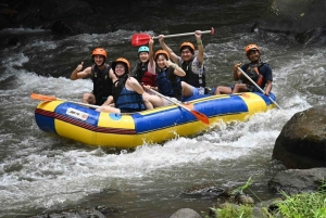 Bali: Jungle Cart-avontuur en wildwaterraften