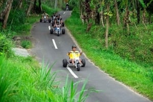 Bali: Jungle Cart Ride and Adventure ATV/Rafting