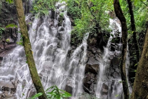 Bali: Jungle Cart Ride and Adventure ATV/Rafting