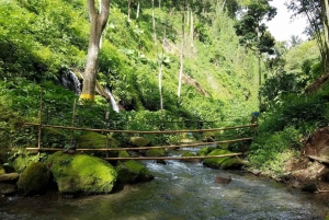 Bali: Jungle Cart Ride and Adventure ATV/Rafting