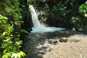 Bali: Jungle Cart Ride and Adventure ATV/Rafting