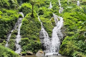 Bali: Jungle Cart Ride and Adventure ATV/Rafting